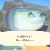 2020032112261800-02CB906EA538A35643C1E1484C4B947D