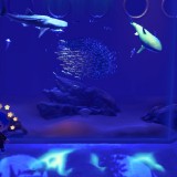 2020032500090300-02CB906EA538A35643C1E1484C4B947D