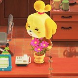 2020032608462700-02CB906EA538A35643C1E1484C4B947D