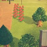 2020041207154400-02CB906EA538A35643C1E1484C4B947D