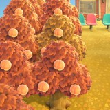 2020052107260500-02CB906EA538A35643C1E1484C4B947D